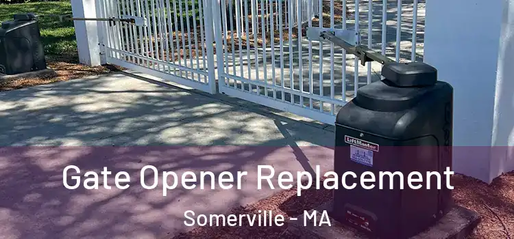  Gate Opener Replacement Somerville - MA