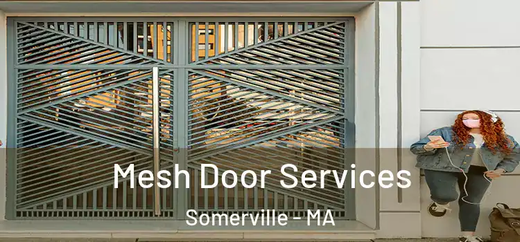 Mesh Door Services Somerville - MA