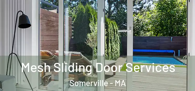  Mesh Sliding Door Services Somerville - MA