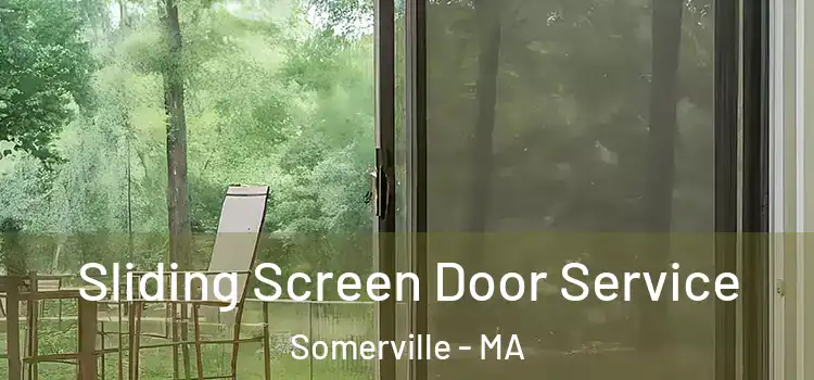  Sliding Screen Door Service Somerville - MA